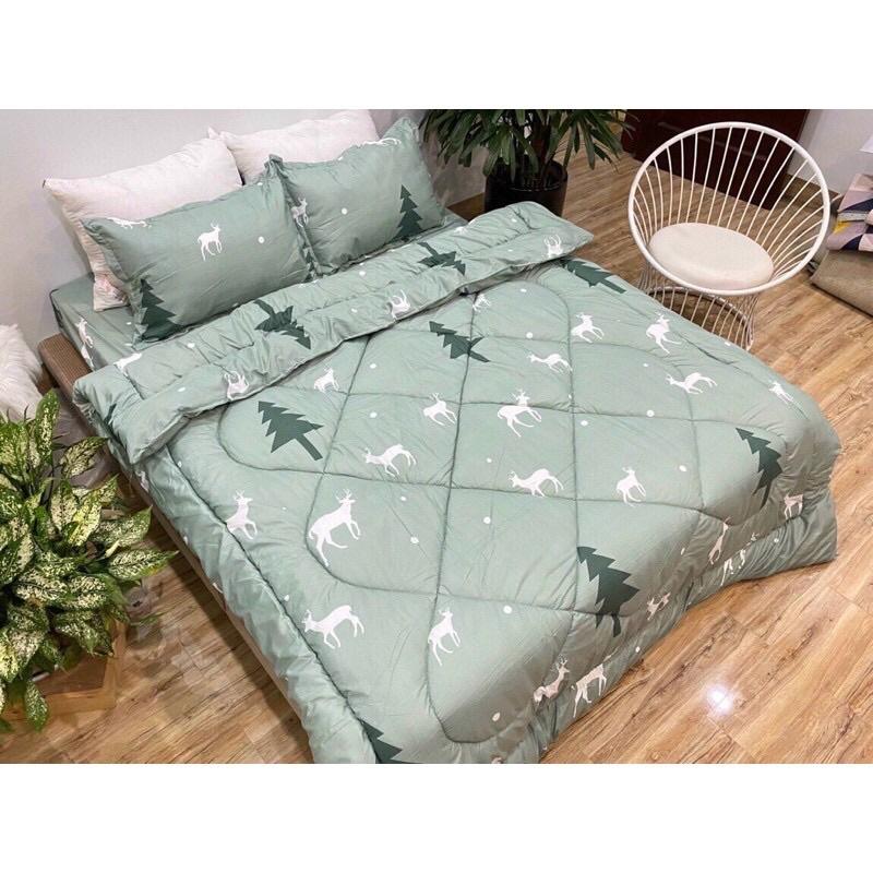 Một Áo Gối Vỏ Gối Mền Mịn Cotton Poly Size 65cm x45cm Chọn Mẫu