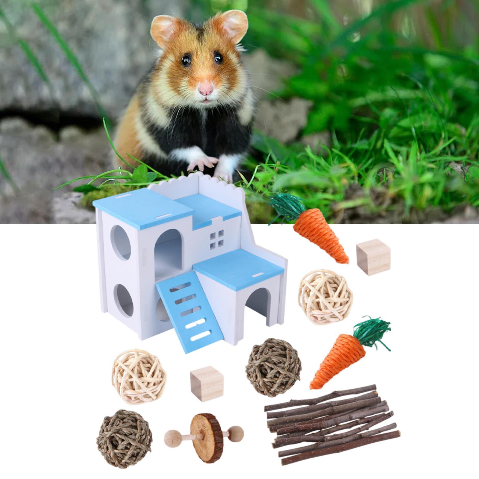 Hamster Chew Toys Wood Branches Small Pet Molar Toys for Parrot Hamster Mice