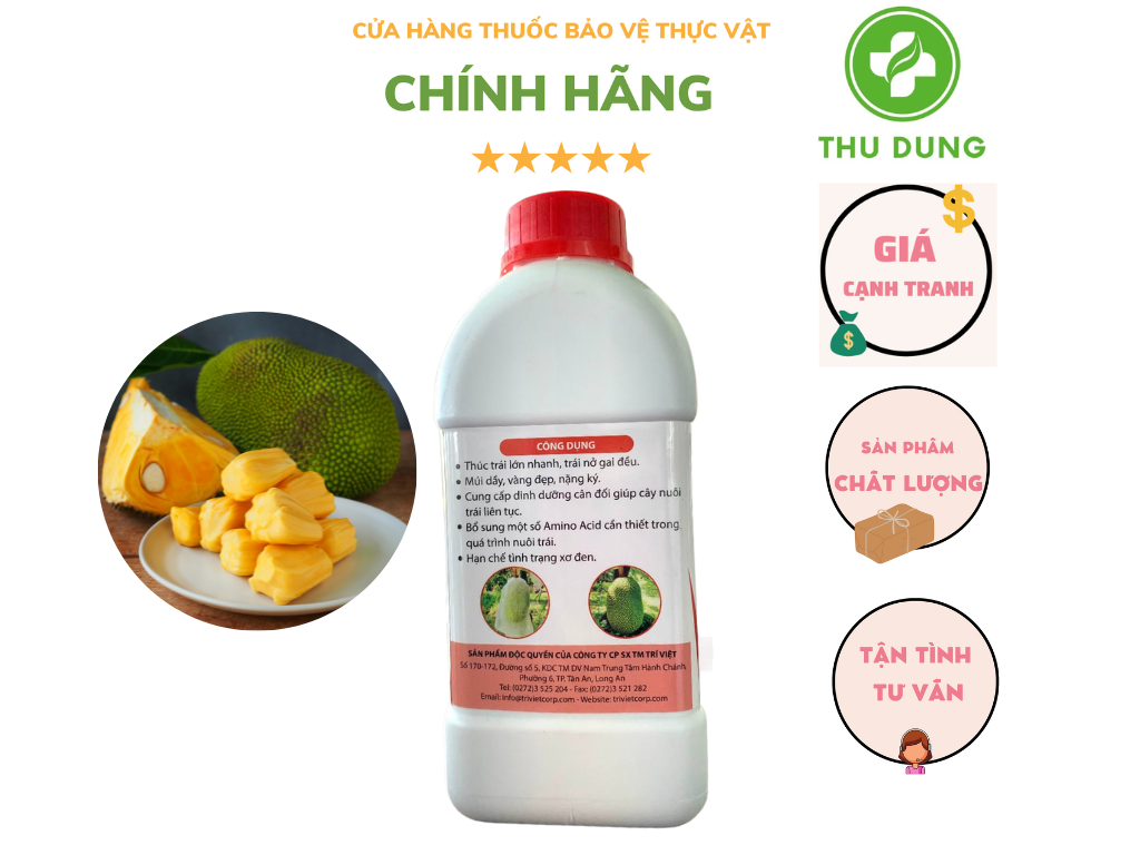 LỚN TRÁI MÍT TRÍ VIỆT 500ML