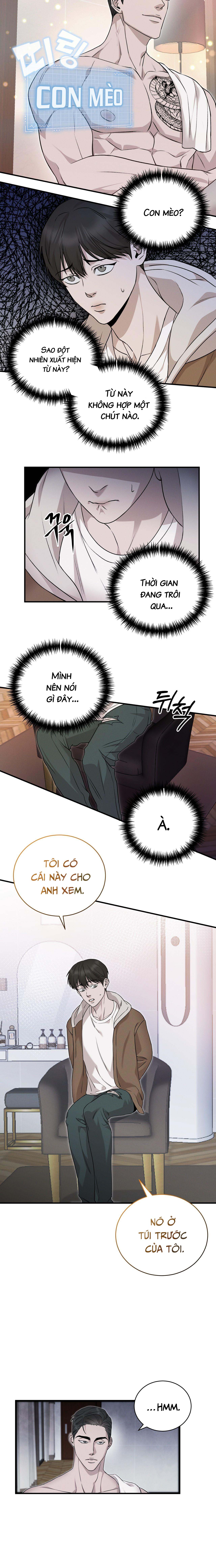 morpheus chapter 4 8