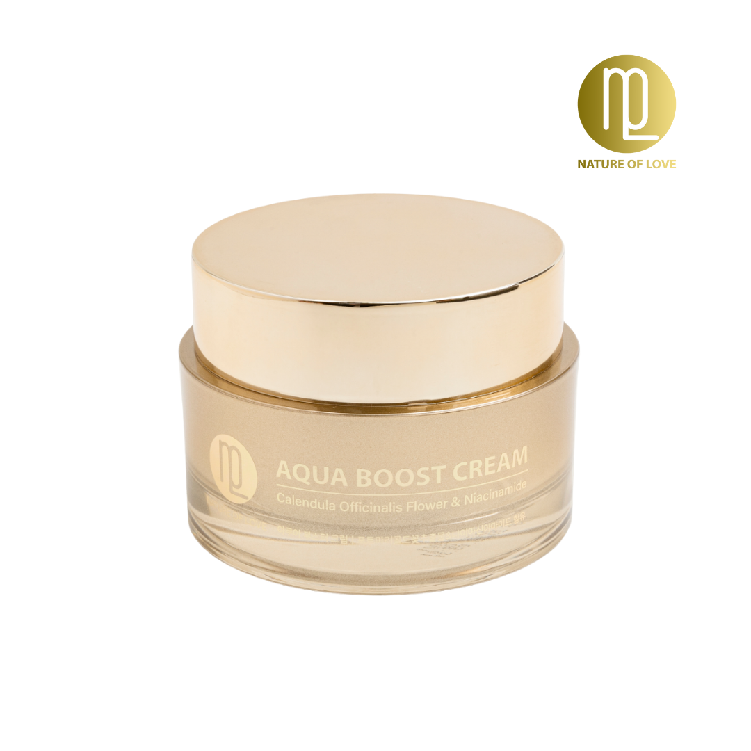 Kem dưỡng cấp ẩm ngậm nước ngừa lão hoá - Aqua Boost Cream 50ml