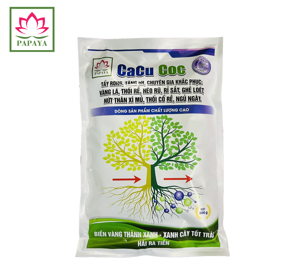 Phân bón vi lượng Cacu Coc 1kg Biến Vàng Thành Xanh
