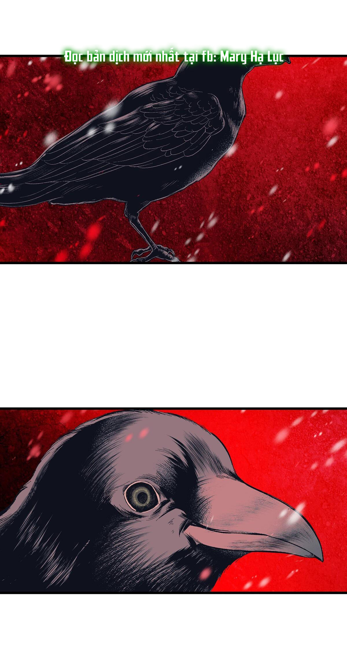 bánh xe của charlotte chapter 24.2 36