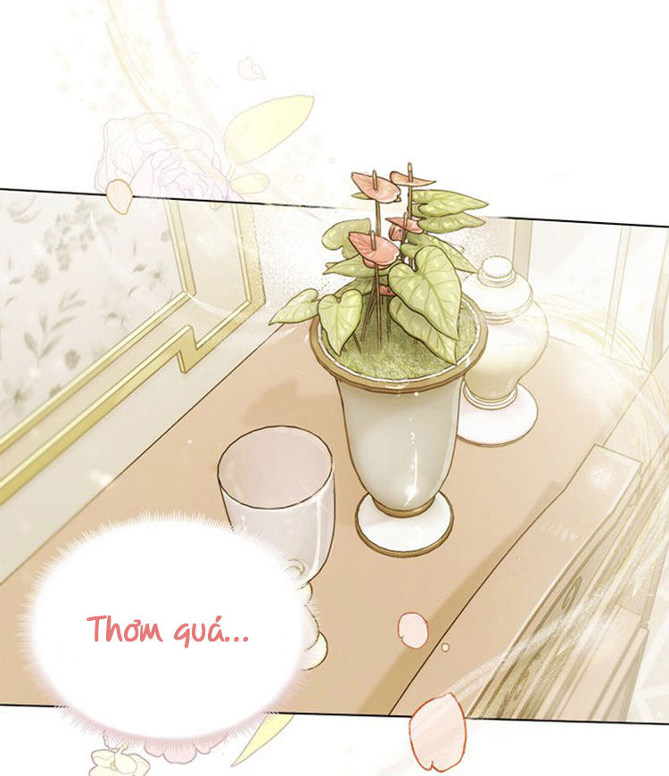 tìm lại nàng camellia chapter 2 1