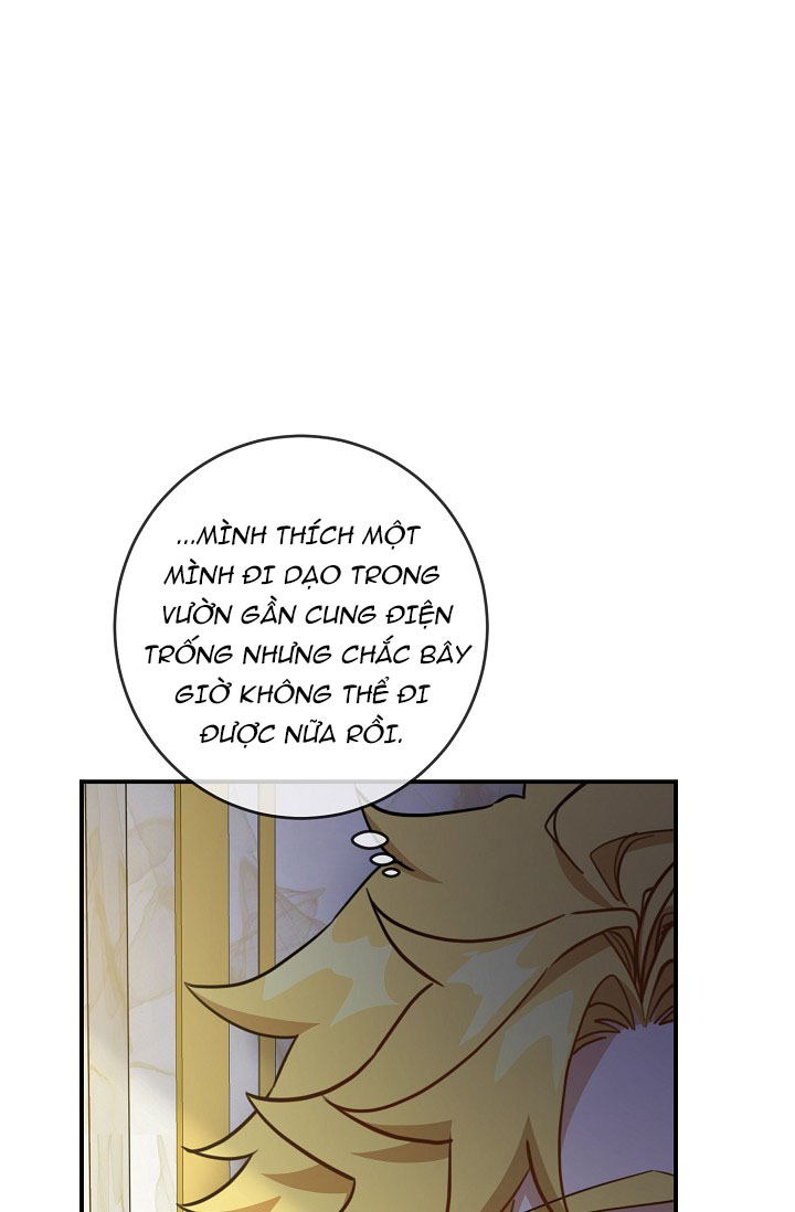 hướng đến ánh dương một lần nữa chapter 30.2 26