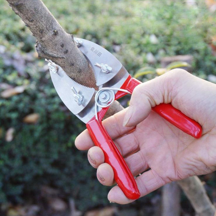 Kéo khoanh vỏ lưỡi kép răng cưa
