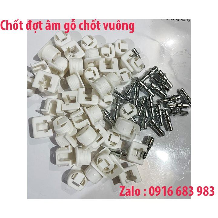 Chốt đợt âm gỗ không ren, chốt đợt cài âm,chốt hãm đợt túi 500 con