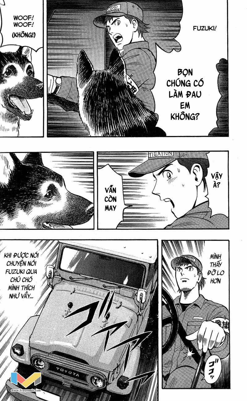 animal sense chapter 8 41