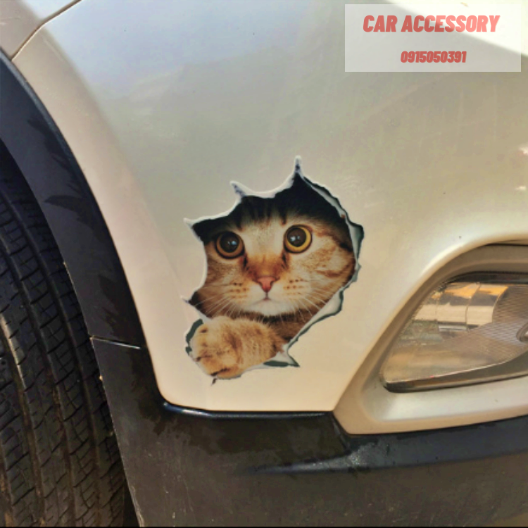 Miếng dán 3D ba chiều pug dán xe vui nhộn mèo con dễ thương đầu sói nhãn dán xe sáng tạo che viết xước tạo cá tính