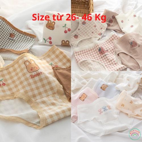 Set 3 Quần lót bé gái size to đại kháng khuẩn thoáng khí họa tiết dễ thương