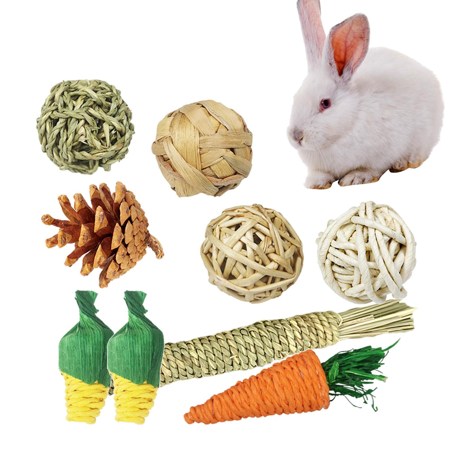 9pcs Hamster Chew Toys Set Chinchillas Toys Teeth Care for Pets Playing