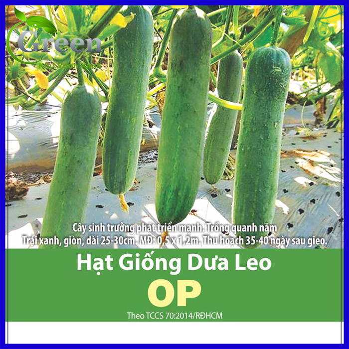 Hạt Giống Dưa Leo OP Giòn Ngon (5 Gam)