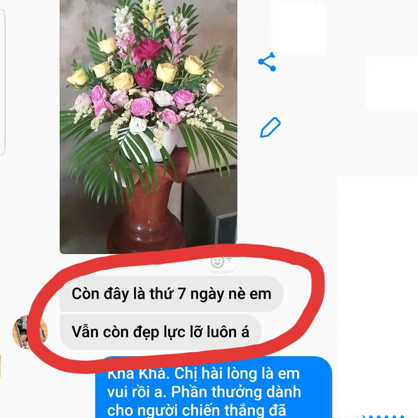 Shop Hoa Bảo Quản Hoa Cắm Lẵng, Hoa Cắm Xốp lâu tàn và hạn chế thay hoa định kỳ bằng Bột Dinh Dưỡng Hoa nhập khẩu Israel hiệu Longlife SG Của Israel