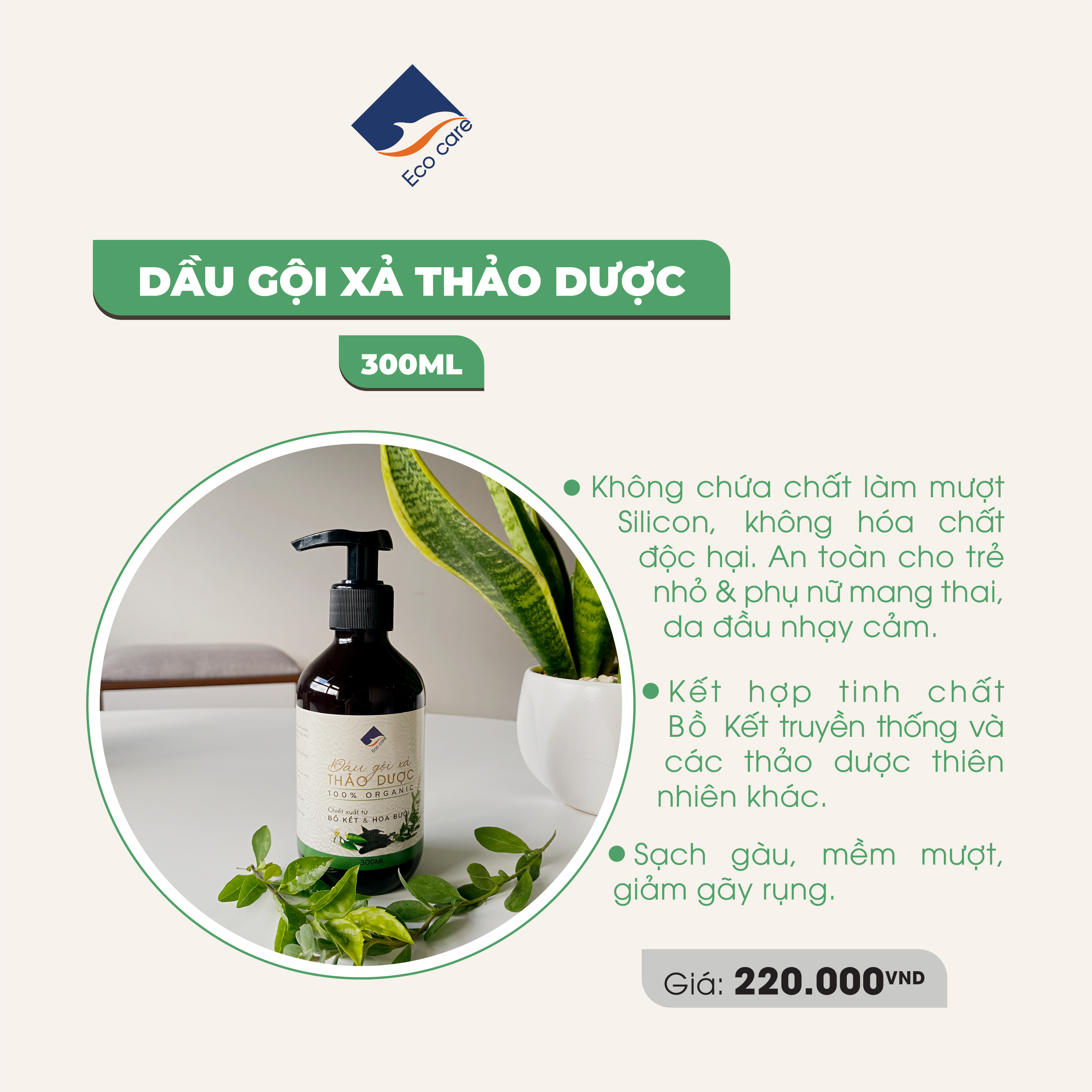 Dầu gội xả Thảo dược Ecocare 300ml, Dầu gội dầu xả Bồ kết hoa bưởi thiên nhiên sạch gàu, giảm rụng tóc, nấm ngứa da đầu