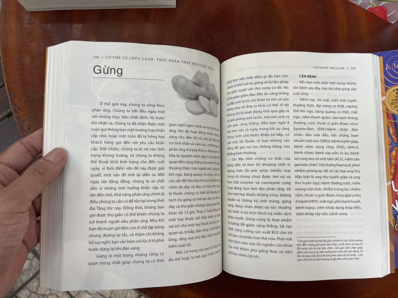 [trọn bộ 6 tập CƠ THỂ TỰ CHỮA LÀNH] CƠ THỂ TỰ CHỮA LÀNH - THỰC PHẨM THAY ĐỔI CUỘC SỐNG - GIẢI CỨU GAN - NƯỚC ÉP CẦN TÂY - PHỤC HỒI TUYẾN GIÁP - THANH LỌC ĐỂ PHỤC HỒI - THANH LỌC ĐỂ PHỤC HỒI