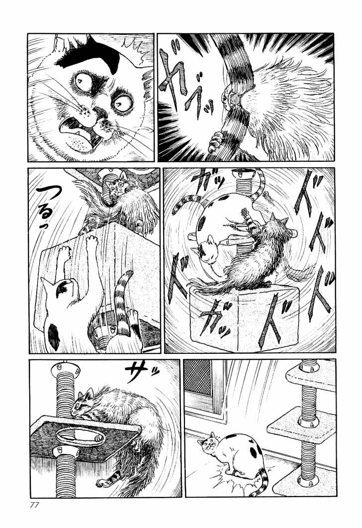 ito junji cat's diary chapter 7 9