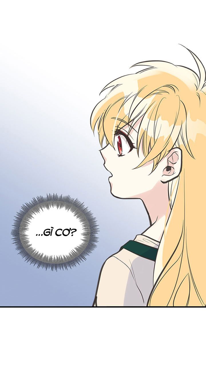 chị tôi đã nhặt về một nam chính quyến rũ chapter 13 56