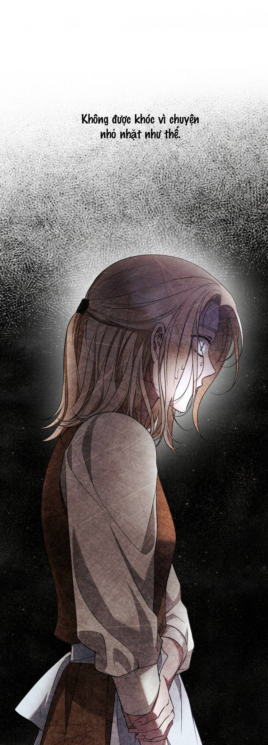 lời nói dối vĩnh cửu của người chapter 25 5