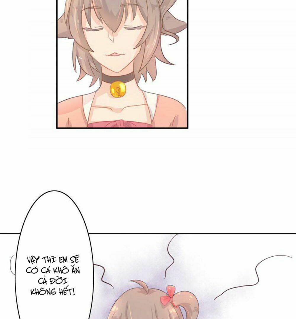 hai chú mèo totem chapter 1 46