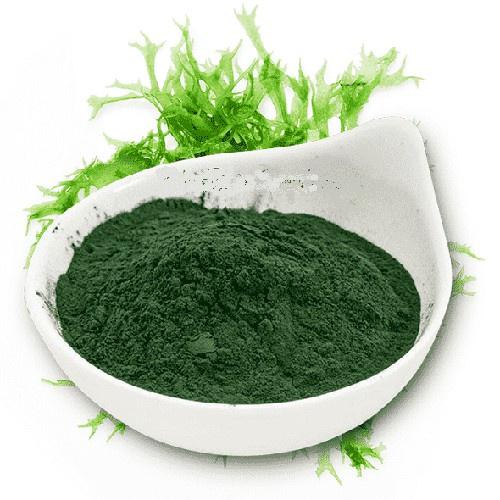 Tảo bột Spirulina hộp 500Gram- nuôi artemia, bobo- Thức ăn cho tép cảnh, cá cảnh -phụ kiện thủy sinh-shopleo