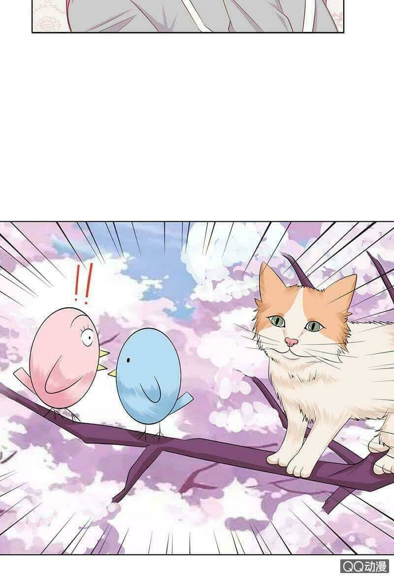 băng sơn học trưởng không được chọc chapter 53.1 8