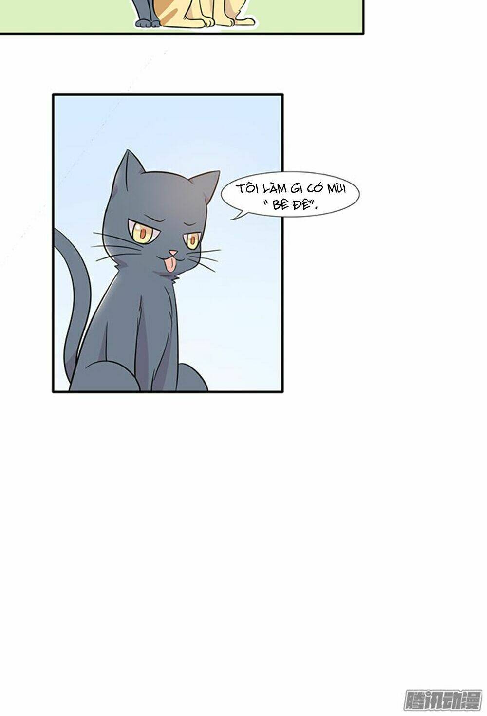 hai chú mèo totem chapter 14 20