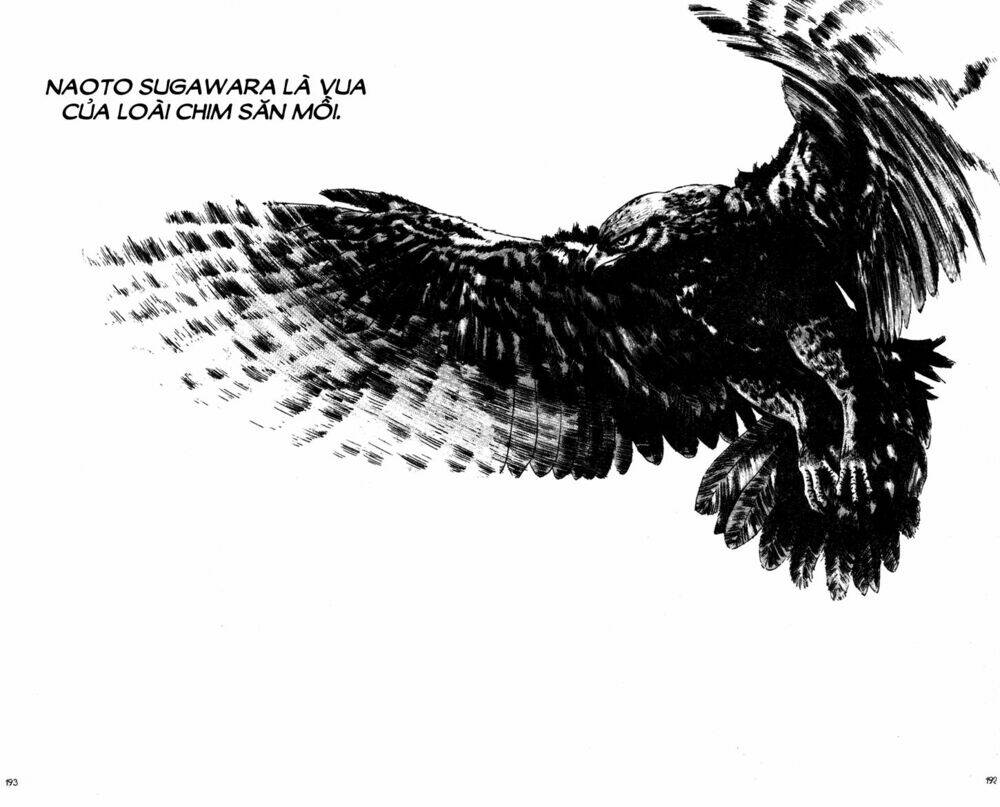 shamo (võ đạo) chapter 70 11