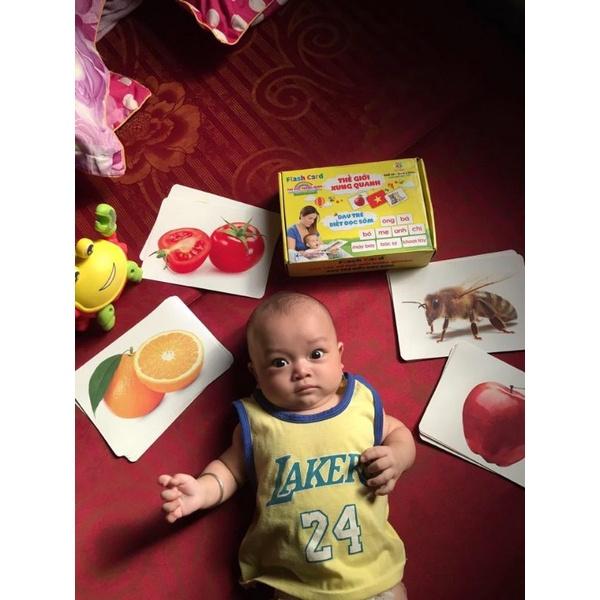BỘ THẺ HỌC THÔNG MINH THEO PP GELDOMAN . Flash card cho bé