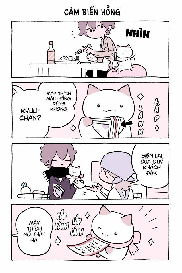 chú mèo kỳ diệu kyuu-chan chapter 528 2