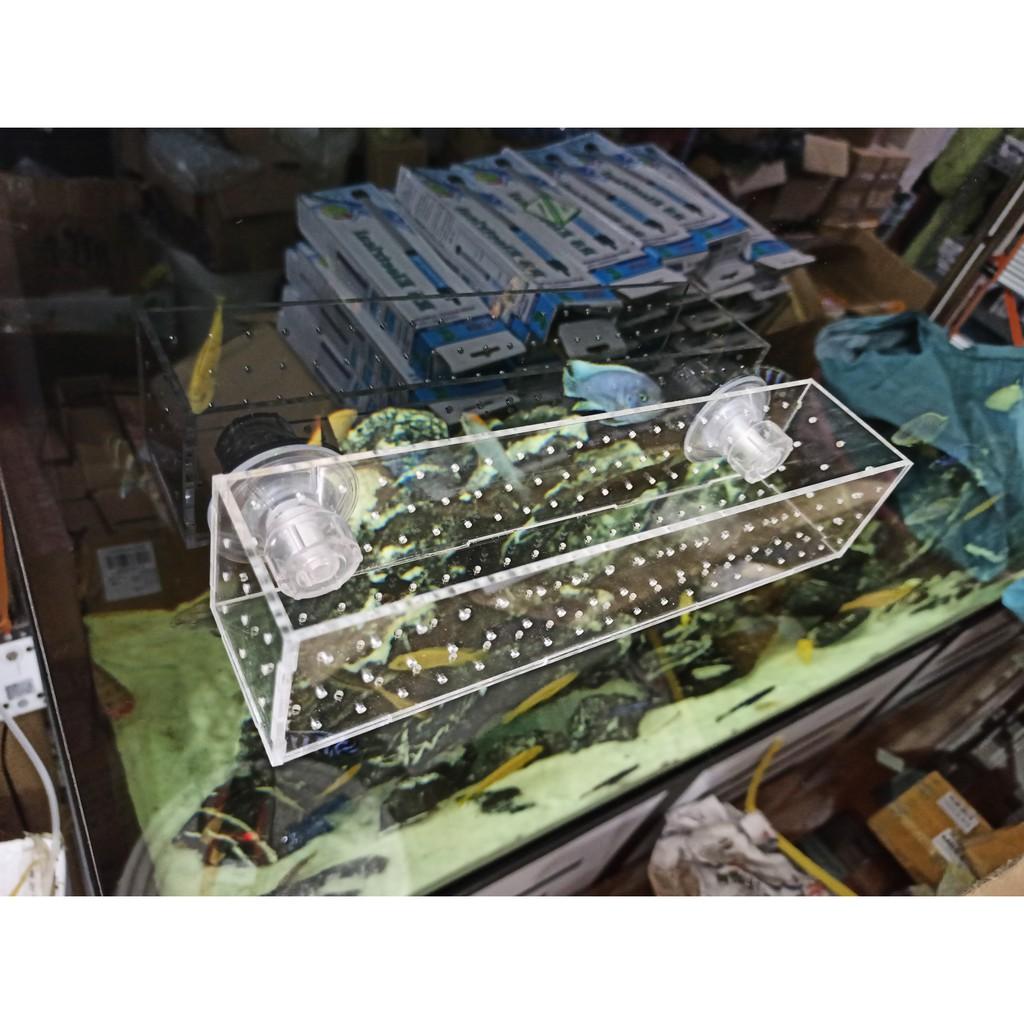 Hộp mica đựng phân nền trồng cây thủy sinh - Hộp mika trồng cây thủy sinh - Hộp mika