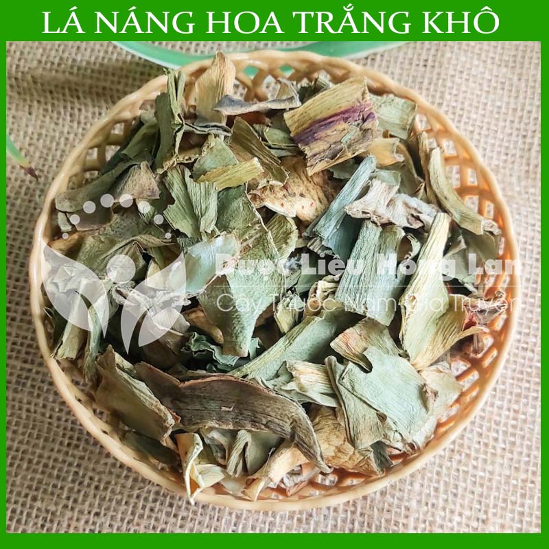 Cây Lá náng hoa trắng khô sạch đóng gói 1kg