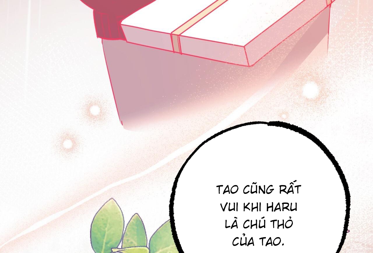 đàn thỏ của habibi chapter 65 201