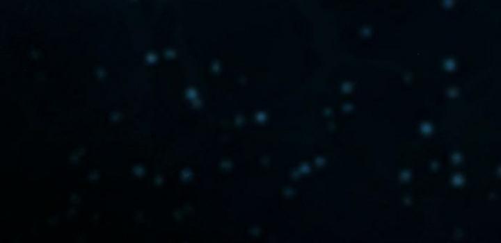 my demon - chàng quỷ của tôi chapter 3 167