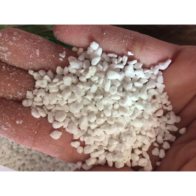 Đá trồng sen đá xương rồng perlite 500g