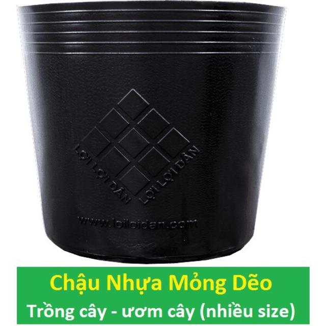 Combo 10 Chậu Nhựa Dẽo Dai Trồng Cây, Ươm Cây - Sử dụng Nhiều năm