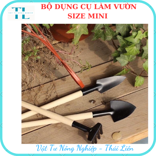 Bộ dụng cụ làm vườn 3 món mini, Bộ dụng cụ 3 món tiện lợi dễ sử dụng phù hợp cho bé làm vườn.