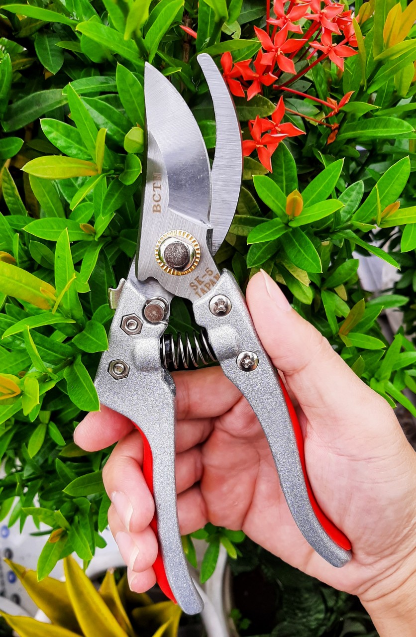 Kéo Cắt Tỉa Cây Cảnh Cầm Tay Bằng Thép Không Rỉ SK5 Cao Cấp