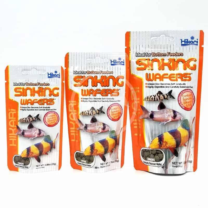 Thức ăn Hikari Sinking Wafers-Thức ăn cao cấp cho cá chuột Corydoras-cá tầng đáy- tôm cảnh,tép cảnh- Cám Hikari-shopleo