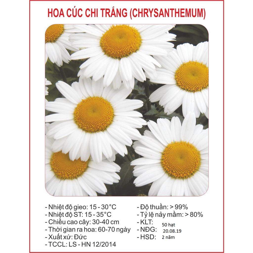 Hạt giống hoa cúc họa mi trắng-gói 50 hạt