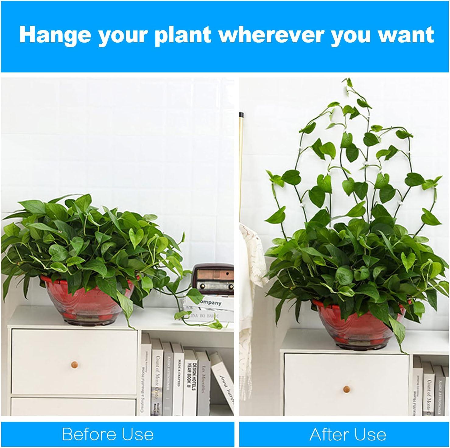 50 Cái Kẹp hỗ trợ cây leo, Kẹp cây tự dính, Kẹp treo tường Green Vine, Cố định tường, Móc treo hỗ trợ cây, Kẹp cọc, Trang trí tường cây