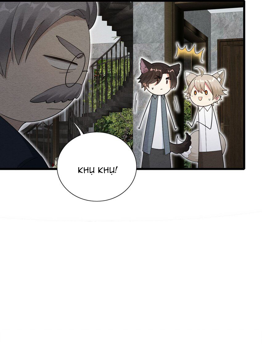 tức thời phạm quy [ tức thì vi quy ] chapter 73 10