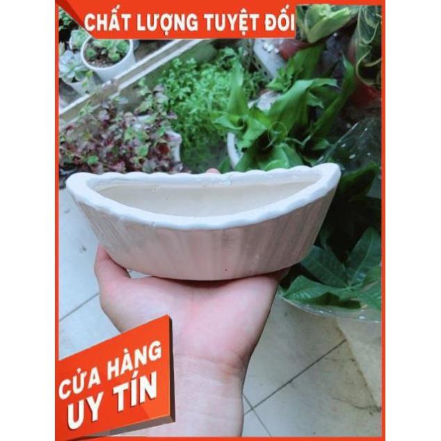 Chậu Trồng Cây