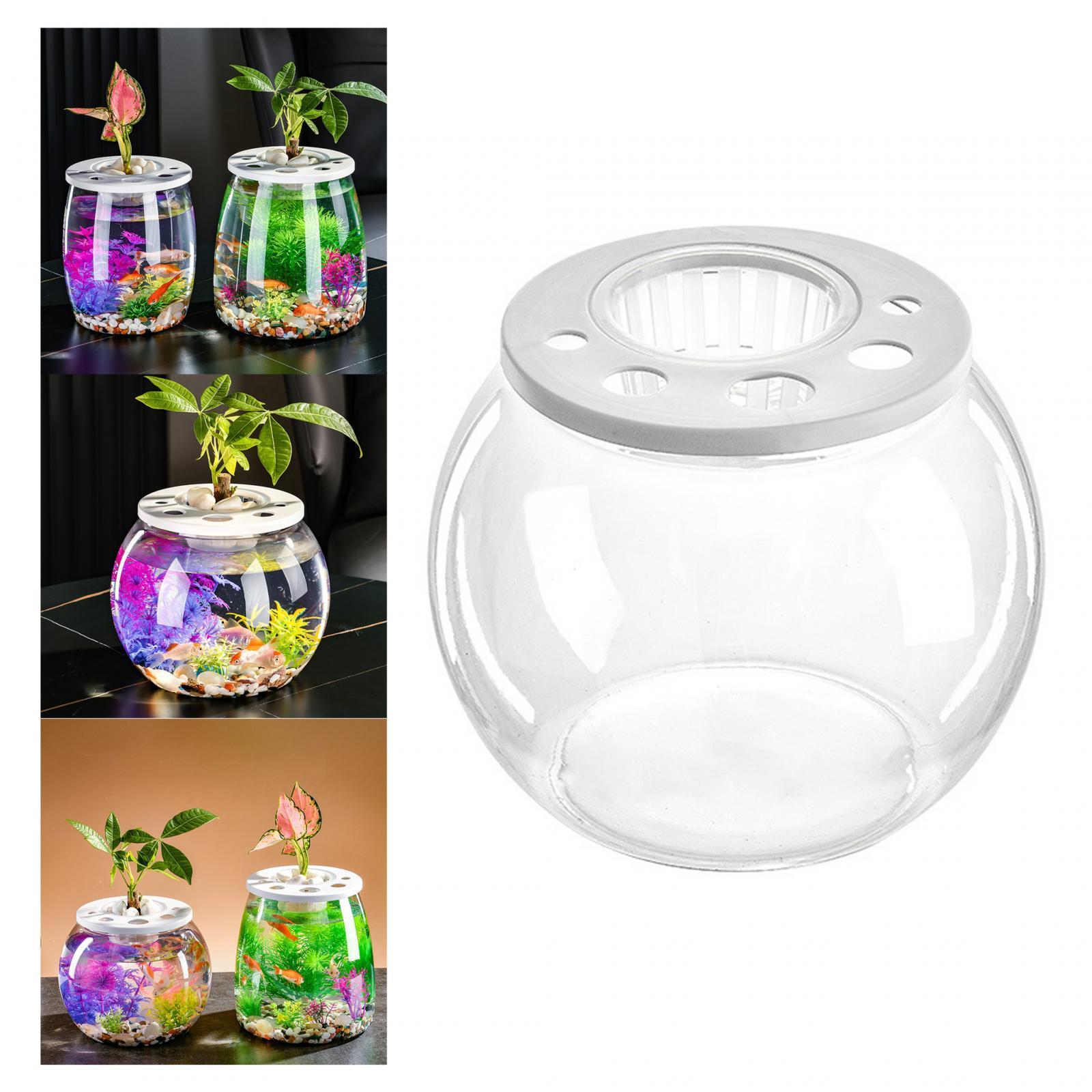 Fish Bowl Decorative Table Centerpiece Fish Tank for Hotel Dorm Living Room