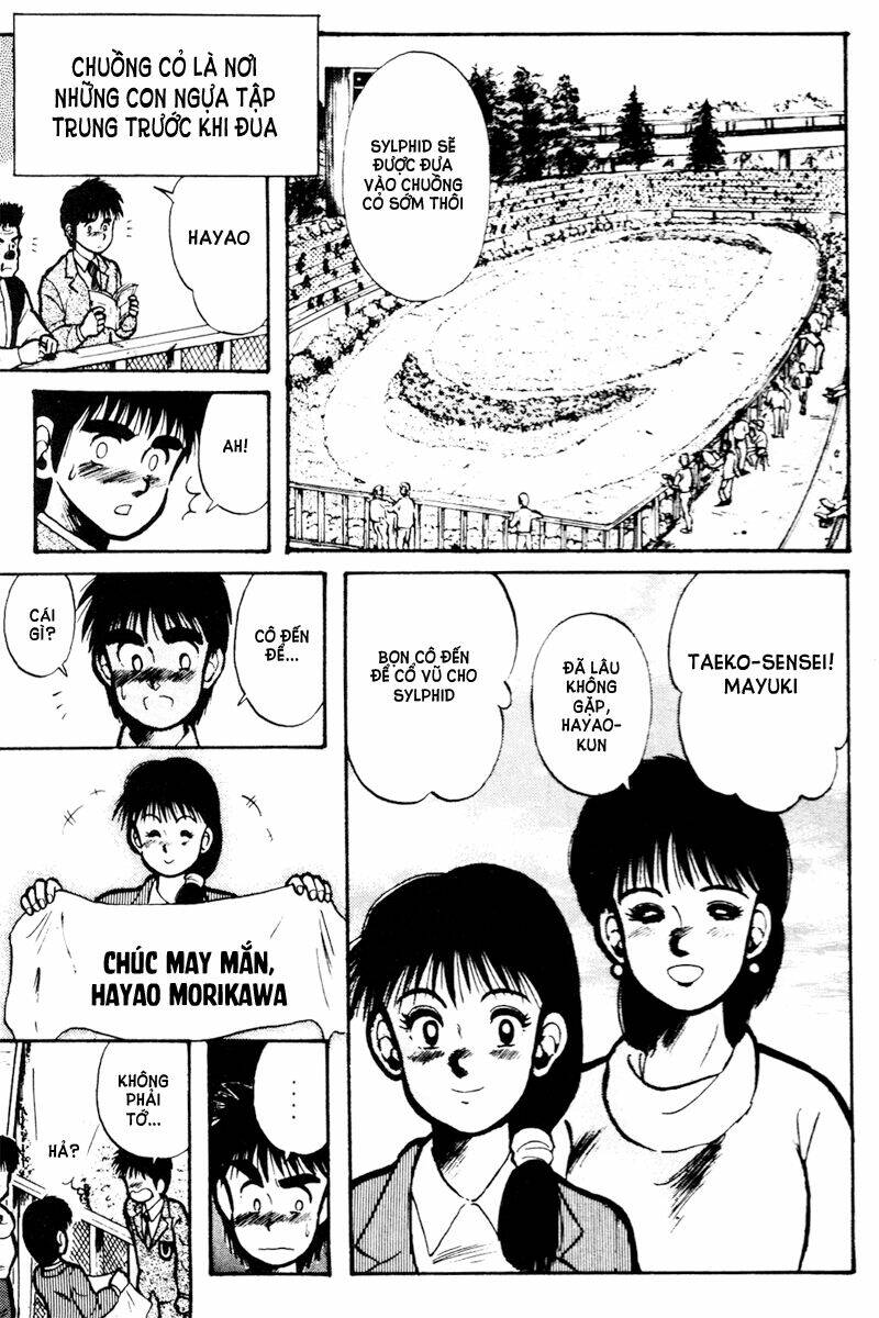 kaze no sylphid - phong mã silphid chapter 14 6