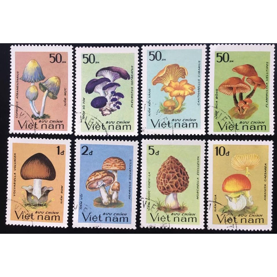 Bộ Tem Sưu Tầm Việt Nam Chủ Đề Các Loài Nấm - 8 Con Stamps