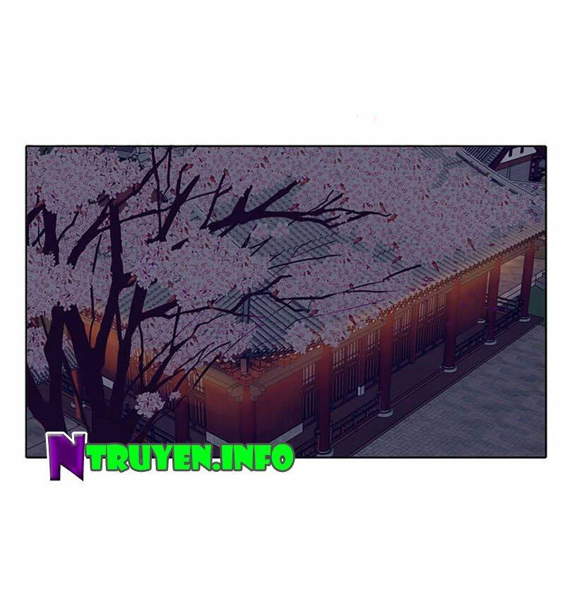 tướng quân mời ra trận chapter 59 12