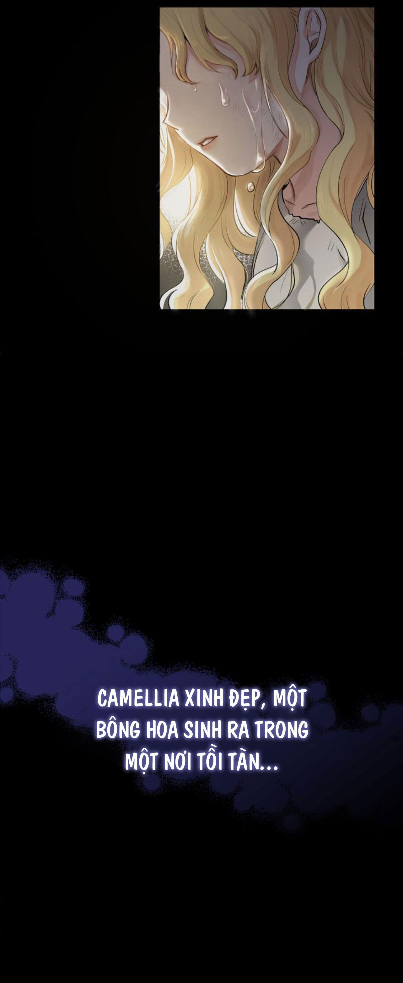 tìm lại nàng camellia chapter 1 17