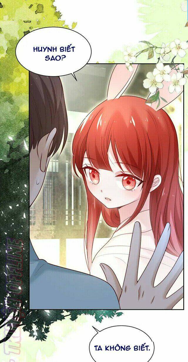 hắc hóa nam chính trực tuyến nuôi thỏ chapter 44 32