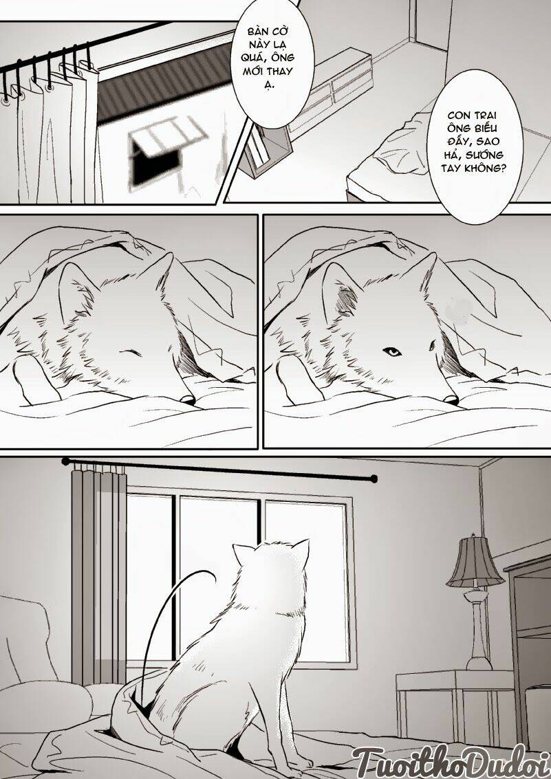 sự mê hoặc của sói chapter 20 13