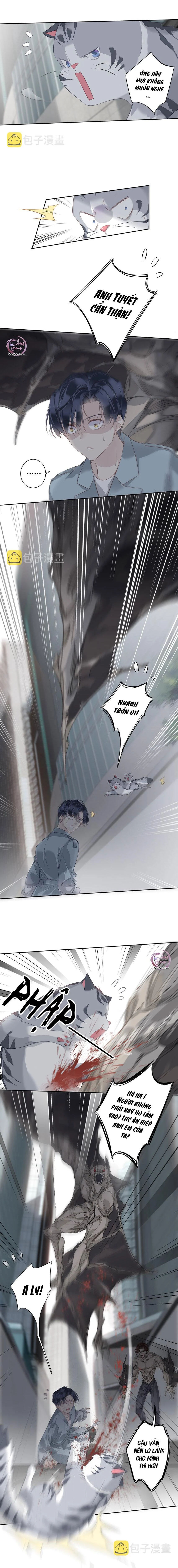 cuộc mai mối vượt giống loài chapter 53 4